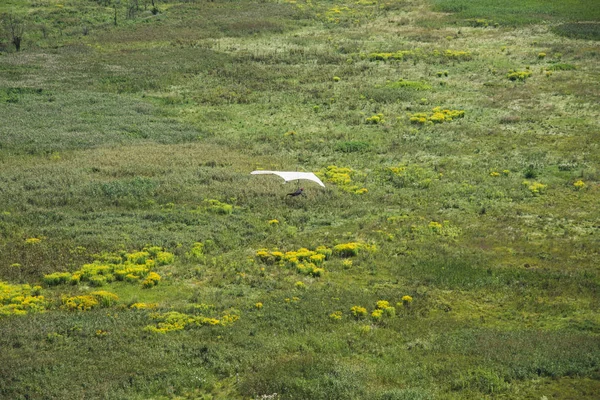 The hang-glider. The hang-glider flies along the field.