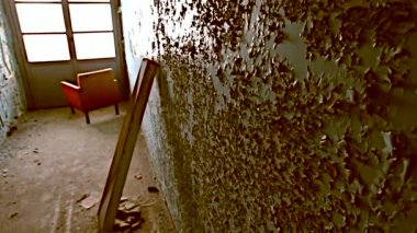 Dışlama bölgesi. Chernobyl. Pripyat. Ukrayna. Terk edilmiş bir evde radyasyon maskesi.
