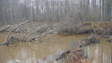 Kunduz Barajı. Kunduz Barajı