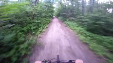 Dağ bisikleti. Ormanın içinden Bisiklete binme