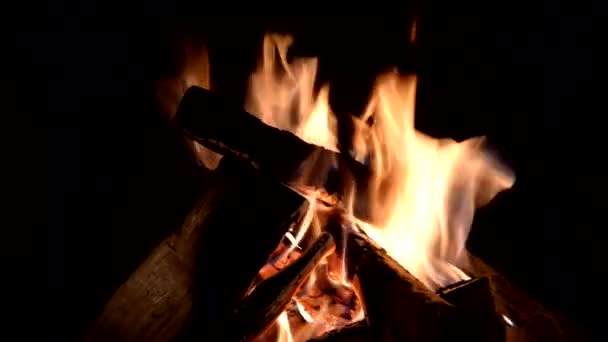 Wood burning in the fireplace — Stock Video