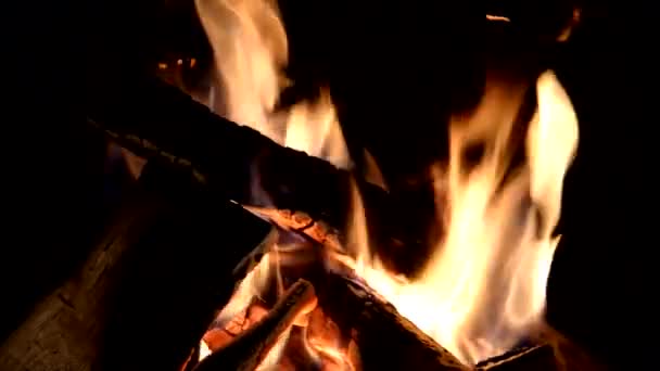 Leña ardiendo en la chimenea — Vídeo de stock