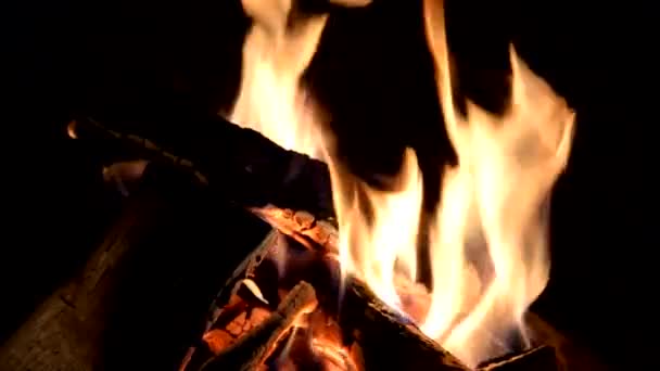 Holzverbrennung im Kamin — Stockvideo