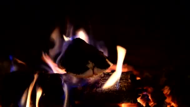 Hořící dřevo v krbu — Stock video