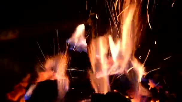 Spalanie drewna w kominku — Wideo stockowe