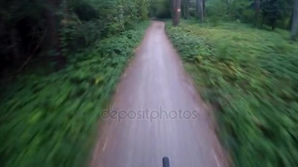 Bicicleta. Ciclismo a través del bosque — Vídeo de stock