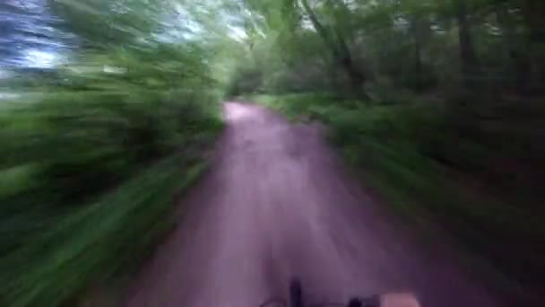 Mountain bike. Cycling through the woods — Stock Video