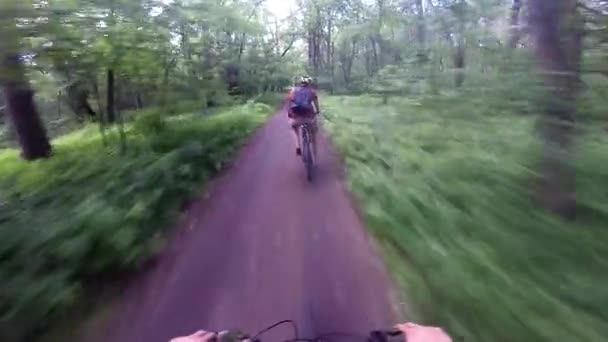 Bicicleta de montanha. Andar de bicicleta pela floresta — Vídeo de Stock