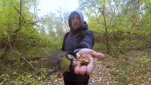 Mann mit Hand füttert Vögel — Stockvideo