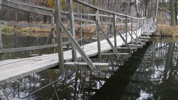 Drewniany most. Drewniany most. — Wideo stockowe