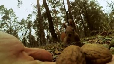 sigara izmaritleri kumda