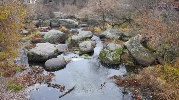 Ponte di legno. Ponte di legno . — Video Stock