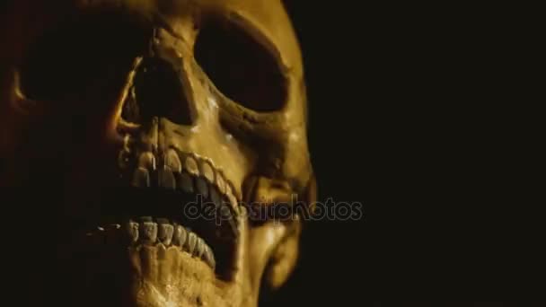 Human skull smoking a cigarette — Stock Video