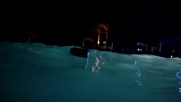 Smutsig swimmingpool. I poolen simmar soporna — Stockvideo