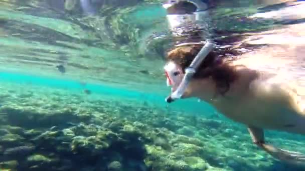 Mar Rojo. El tipo se quita bajo el agua. . — Vídeo de stock