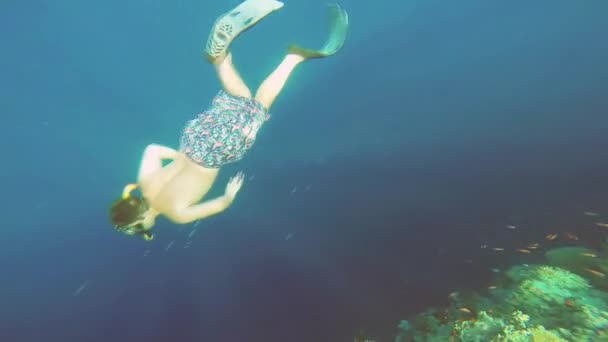 Mar Vermelho. O tipo tira-se debaixo de água. . — Vídeo de Stock