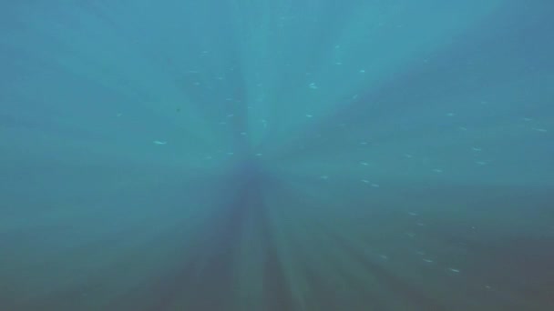 Vörös-tenger. A srác leveszi magának víz alatti. — Stock videók