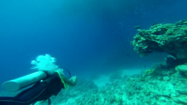 Rotes Meer. Der Typ zieht sich unter Wasser aus. — Stockvideo