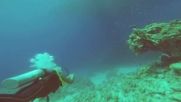 Rode Zee. De man neemt zichzelf af onderwater. — Stockvideo