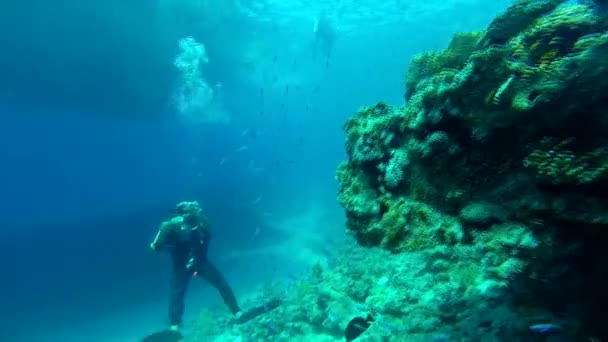 Marea Roşie. Tipul se scoate de sub apă. . — Videoclip de stoc