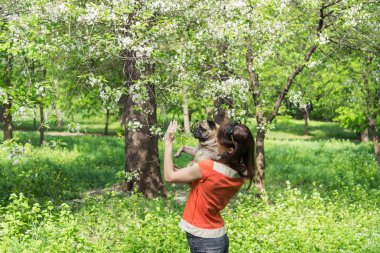 Bahar. Bir kız ile gelişen bir ağaç yakınındaki pug köpek