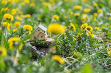 Gerçek arazi. Küçük bir özel ev yeşil çimenlerin üzerinde duruyor.