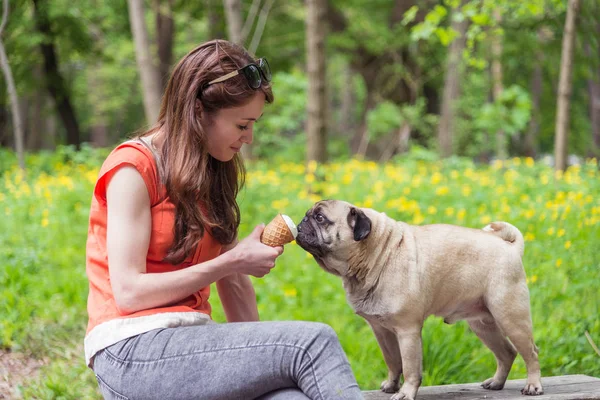 Helado. La chica está alimentando al perro helado —  Fotos de Stock
