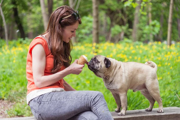 De la glace. La fille nourrit la crème glacée pour chien — Photo