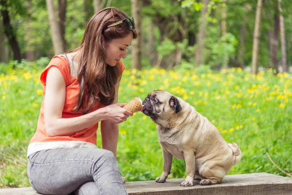 Gelato. La ragazza sta dando da mangiare al gelato al cane. — Foto Stock