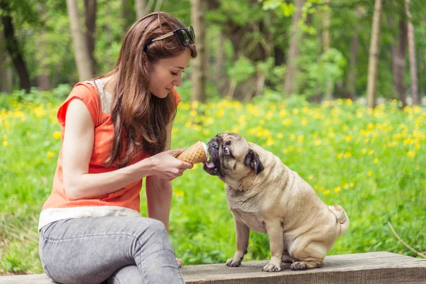 Helado. La chica está alimentando al perro helado —  Fotos de Stock