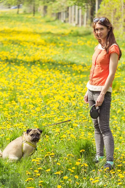 Cane della razza Pug. Una ragazza porta a spasso un cane su un prato verde . — Foto Stock