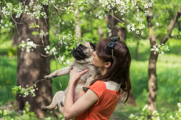 Wiosną. Dziewczyna z Mops pies w pobliżu rosnące drzewa — Zdjęcie stockowe