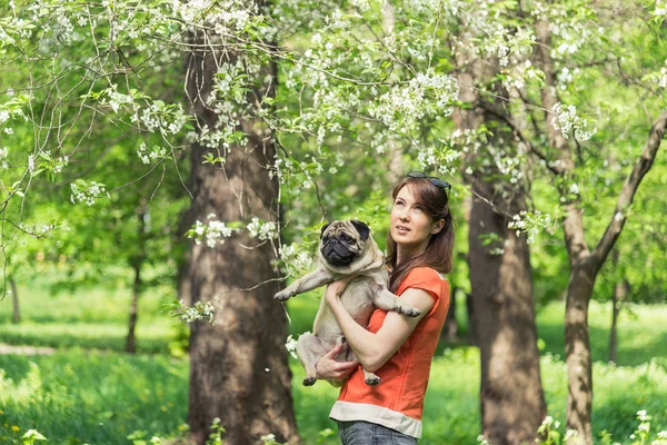 Spring. A girl with a pug dog near a burgeoning tree — Stock Photo, Image