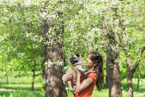 春天。一个新兴的树附近的 pug 的女孩 — 图库照片