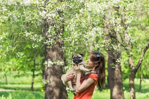 春天。一个新兴的树附近的 pug 的女孩 — 图库照片