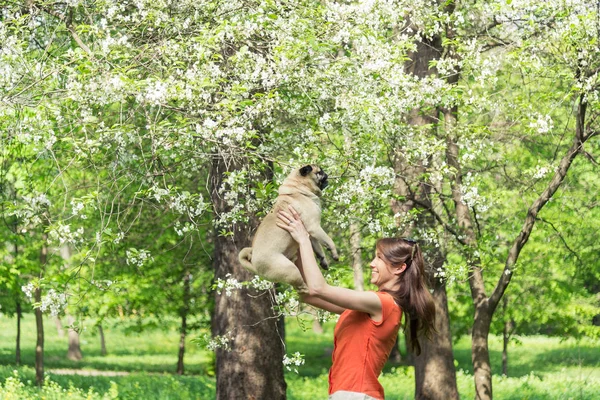 Primavera. Una ragazza con un cane carlino vicino a un albero in fiore — Foto Stock