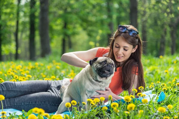 Perro de la raza Pug. Una chica está paseando a un perro en un césped verde . — Foto de Stock