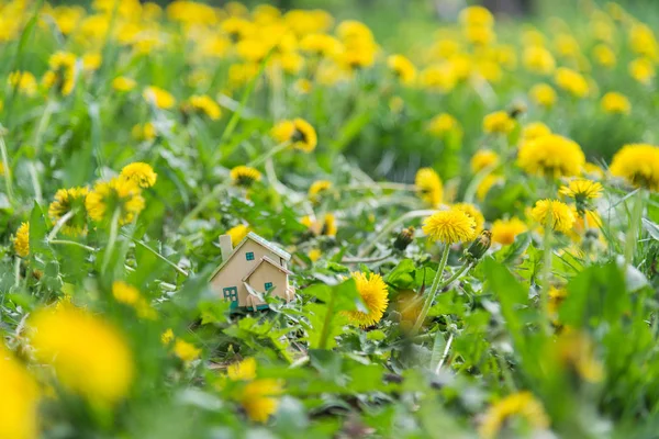 Нерухомість. Крихітний приватний будинок стоїть на зеленому газоні . — стокове фото