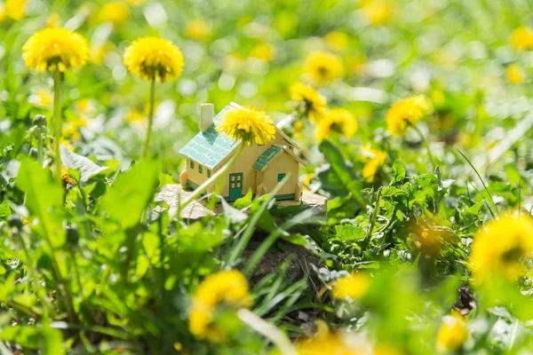 Immobiliare. Una piccola casa privata sorge su un prato verde . — Foto Stock