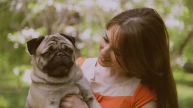 Pug doğurmak köpek. Bir kız bir köpek yeşil çimenlerin üzerinde yürüyor.