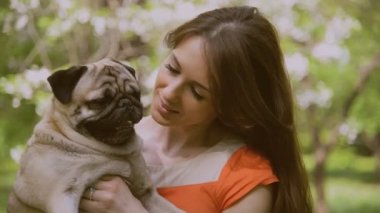 Pug doğurmak köpek. Bir kız bir köpek yeşil çimenlerin üzerinde yürüyor.