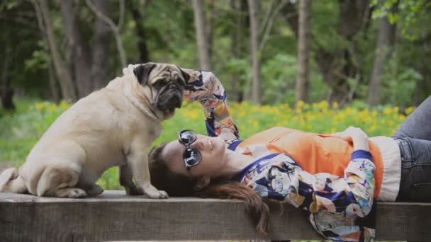 Chien de la race Pug. Une fille promène un chien sur une pelouse verte . — Video