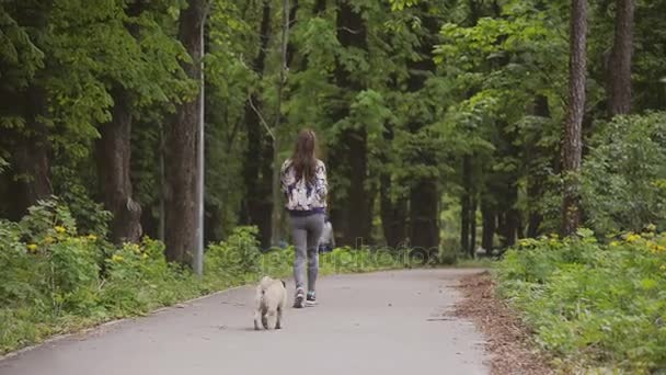 Hund av rasen mops. En flicka går en hund på en grön gräsmatta. — Stockvideo