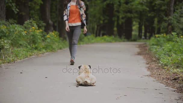 Perro de la raza Pug. Una chica está paseando a un perro en un césped verde . — Vídeos de Stock