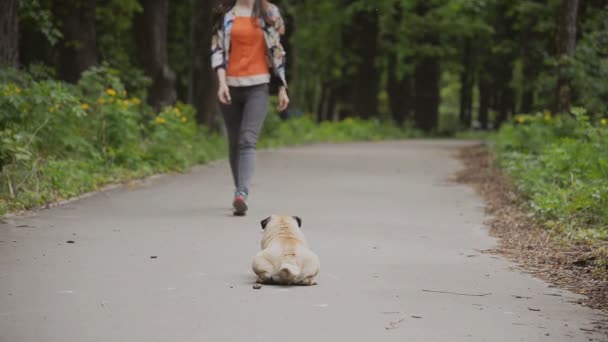 Pes tohoto plemene mops. Dívka je chůze psa na zeleném trávníku. - Stock záběr