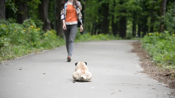 A mopszli tenyészt-ból kutya. Egy lány sétál egy kutya egy zöld pázsit. — Stock videók