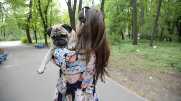 Hund av rasen mops. En flicka går en hund på en grön gräsmatta. — Stockvideo