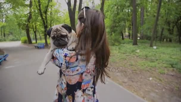 Perro de la raza Pug. Una chica está paseando a un perro en un césped verde . — Vídeo de stock