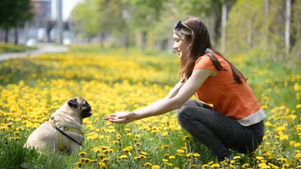 Hund der Rasse Mops. ein Mädchen geht mit einem Hund auf einem grünen Rasen spazieren. — Stockvideo