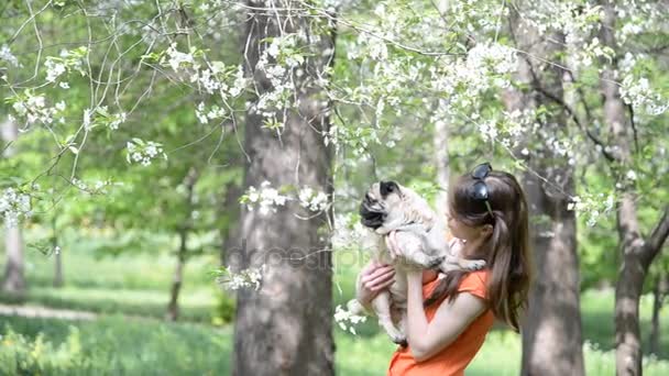 A mopszli tenyészt-ból kutya. Egy lány sétál egy kutya egy zöld pázsit. — Stock videók